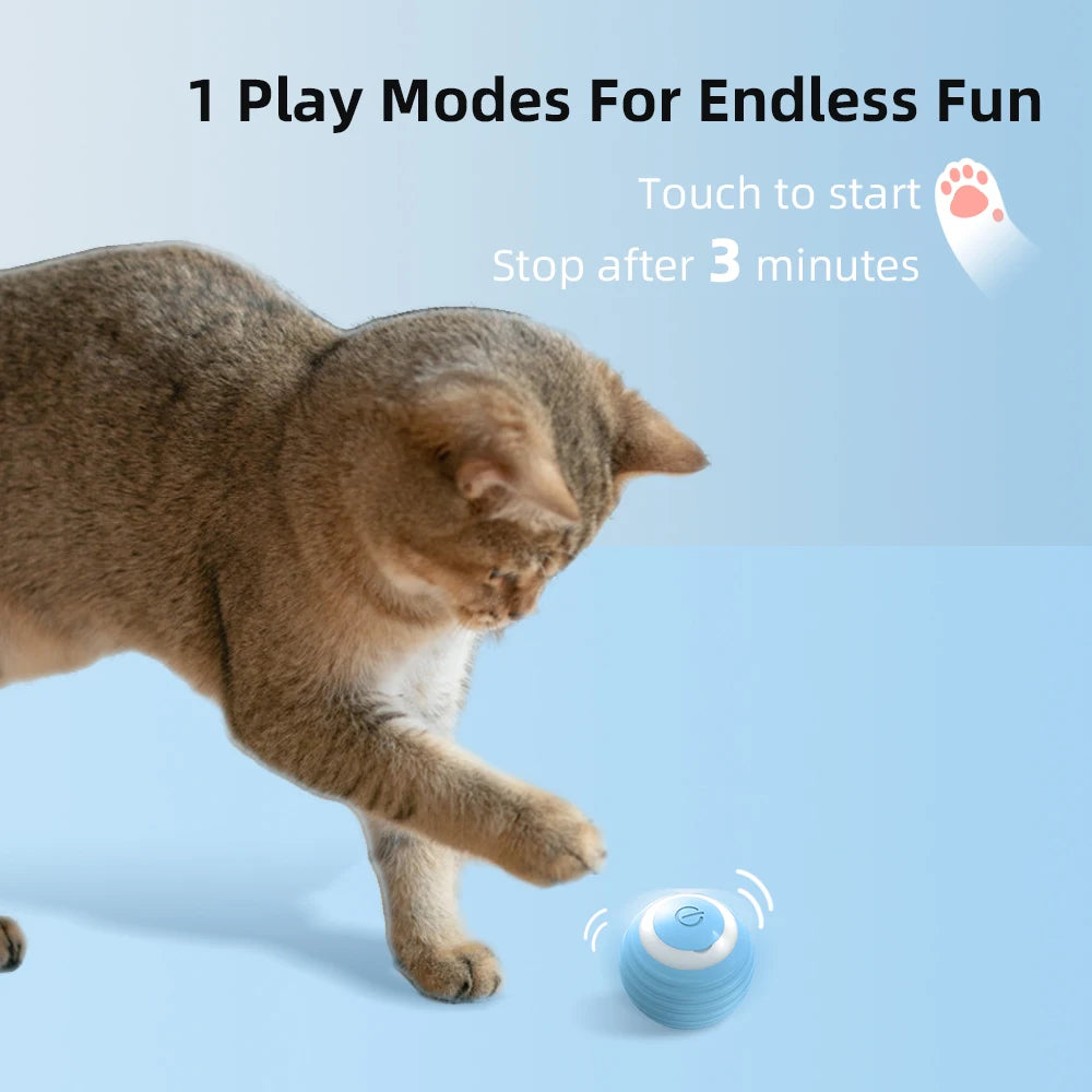 PurrSuit Motion Pro | Rechargeable, healthy-play ball for cats