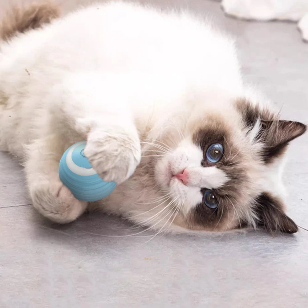 PurrSuit Motion Pro | Rechargeable, healthy-play ball for cats