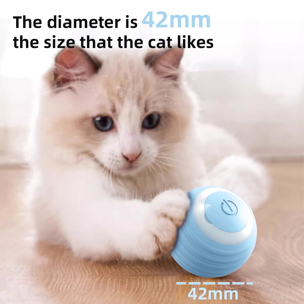 PurrSuit Motion Pro | Rechargeable, healthy-play ball for cats